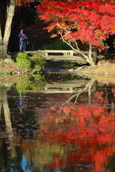 京都市立植物園-8.jpg