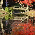 京都市立植物園-8.jpg