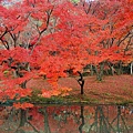 京都市立植物園-12.jpg