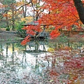 京都市立植物園-15.jpg