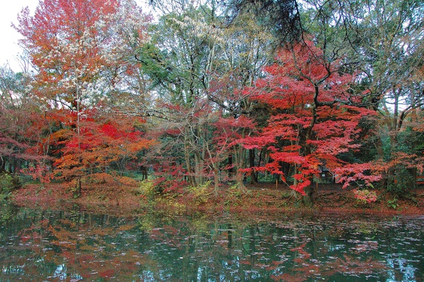 京都市立植物園-17.jpg