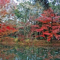 京都市立植物園-17.jpg