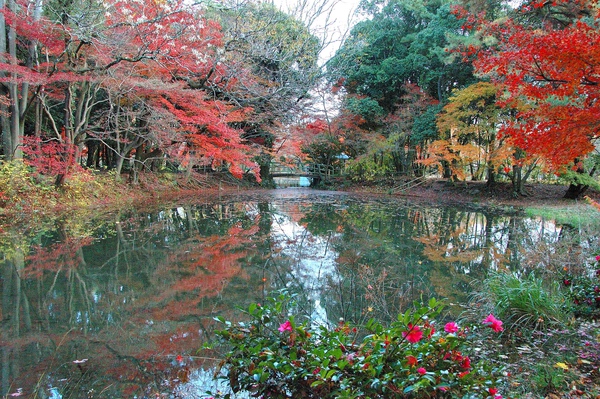 京都市立植物園-18.jpg