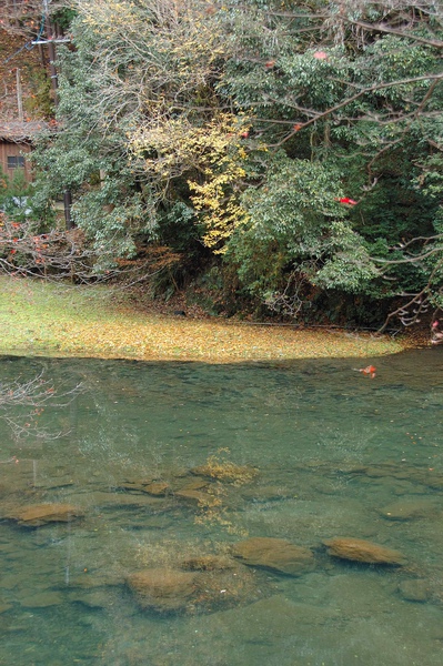 東海自然步道-1.jpg