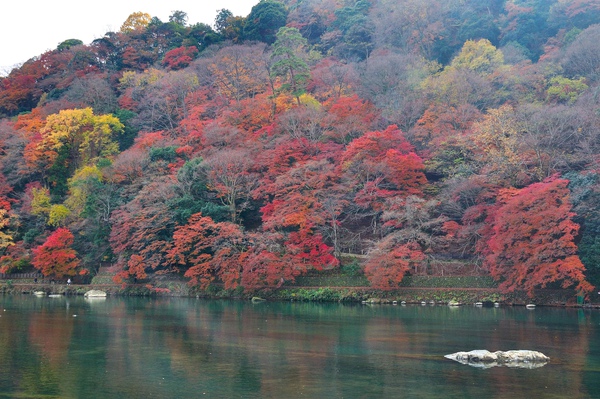 嵐山公園-2.jpg