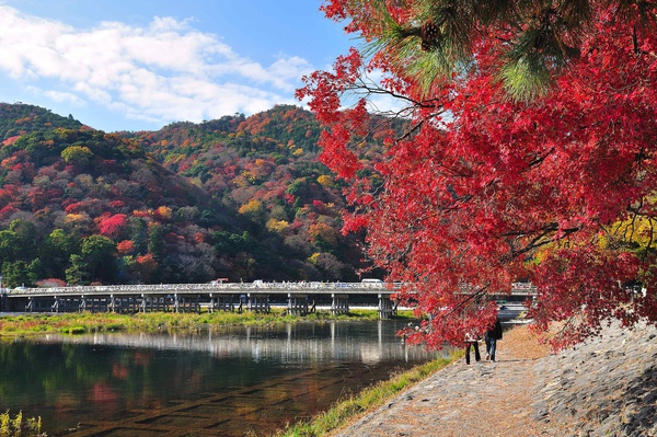 渡月橋-4.jpg