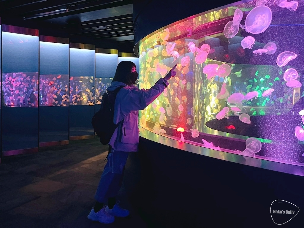 ::日本旅日記::親子旅遊、情侶約會聖地Δ日本水族館十選