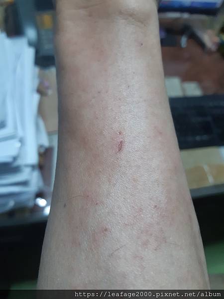 2024/01/24龍年旗袍中醫觀光之行 2024/01/24龍年旗袍中醫觀光之行