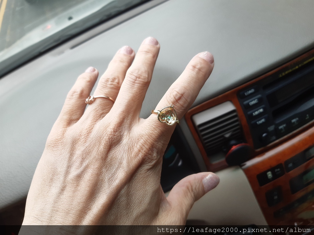 2025/11/29女僕樂齡芳城市 2025/11/29女僕樂齡芳城市