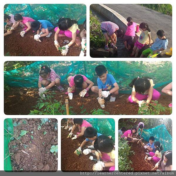 2016年6月有機農耕(4).jpg 2016年6月有機農耕(4).jpg