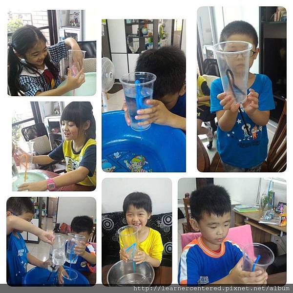 160523育碁自然實驗-公道杯(2).jpg