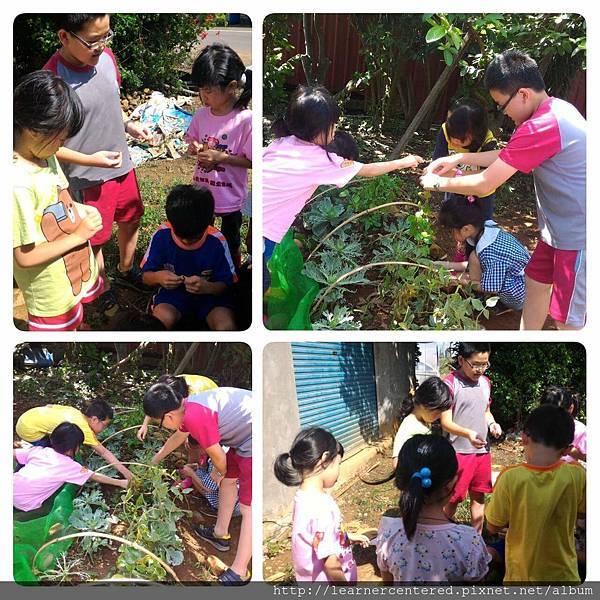 160513%26;27育碁有機農耕(5).jpg 160513%26;27育碁有機農耕(5).jpg