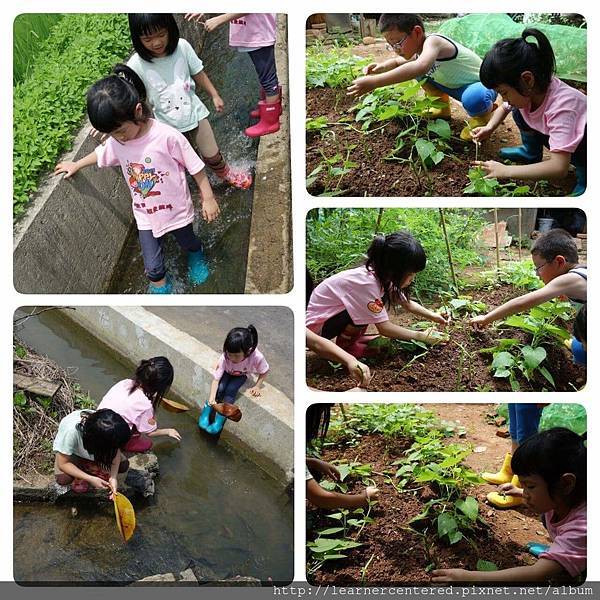 160513%26;27育碁有機農耕(3).jpg 160513%26;27育碁有機農耕(3).jpg