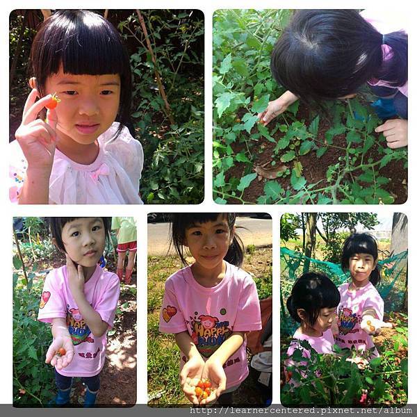 160513%26;27育碁有機農耕(4).jpg 160513%26;27育碁有機農耕(4).jpg