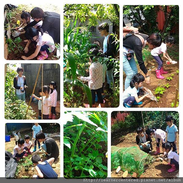 160513%26;27育碁有機農耕(2).jpg 160513%26;27育碁有機農耕(2).jpg