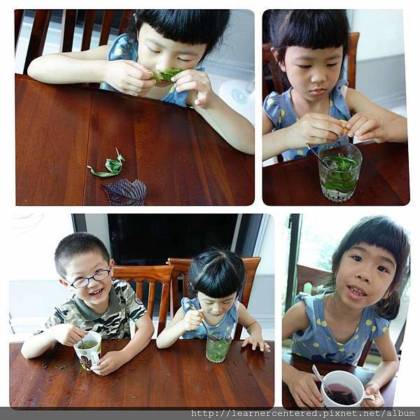 160520育碁幼兒共學-米漢堡%26;香草茶(5).jpg 160520育碁幼兒共學-米漢堡%26;香草茶(5).jpg