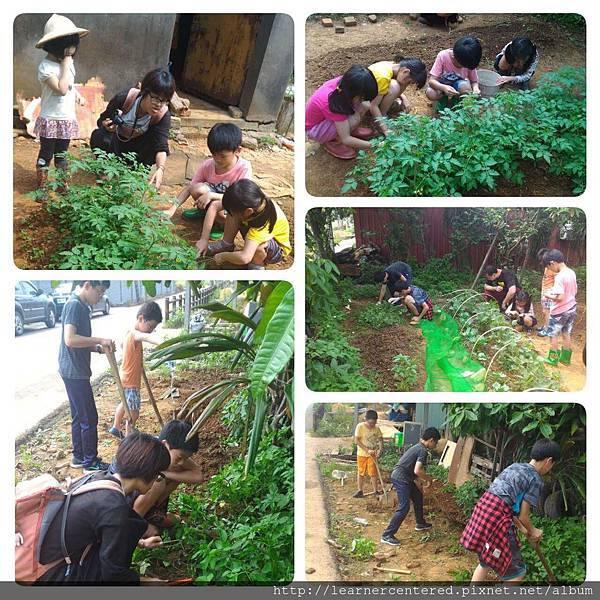 2016年5月育碁有機農耕(1).jpg 2016年5月育碁有機農耕(1).jpg