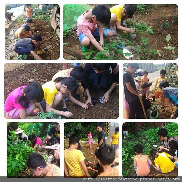 2016年5月育碁有機農耕(2).jpg 2016年5月育碁有機農耕(2).jpg
