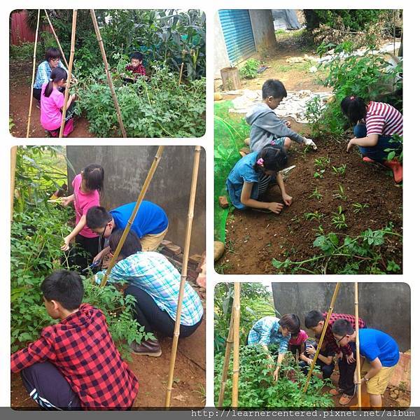 2016年5月育碁有機農耕(4).jpg 2016年5月育碁有機農耕(4).jpg