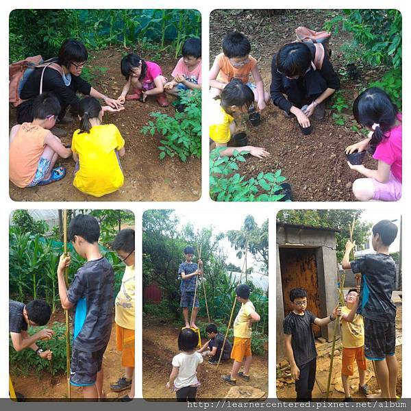 2016年5月育碁有機農耕(3).jpg 2016年5月育碁有機農耕(3).jpg