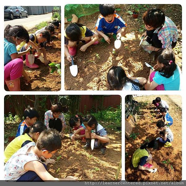 2016年5月育碁有機農耕(5).jpg 2016年5月育碁有機農耕(5).jpg