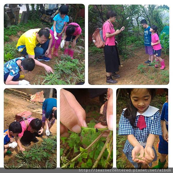 2016年4月育碁有機農耕(5).jpg 2016年4月育碁有機農耕(5).jpg