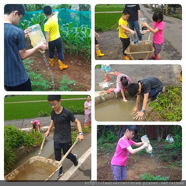 2016年4月育碁有機農耕(8).jpg