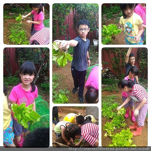 2016年4月育碁有機農耕(9).jpg 2016年4月育碁有機農耕(9).jpg