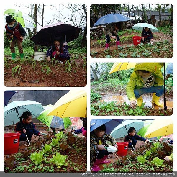 160325有機農耕(2).jpg 160325有機農耕(2).jpg