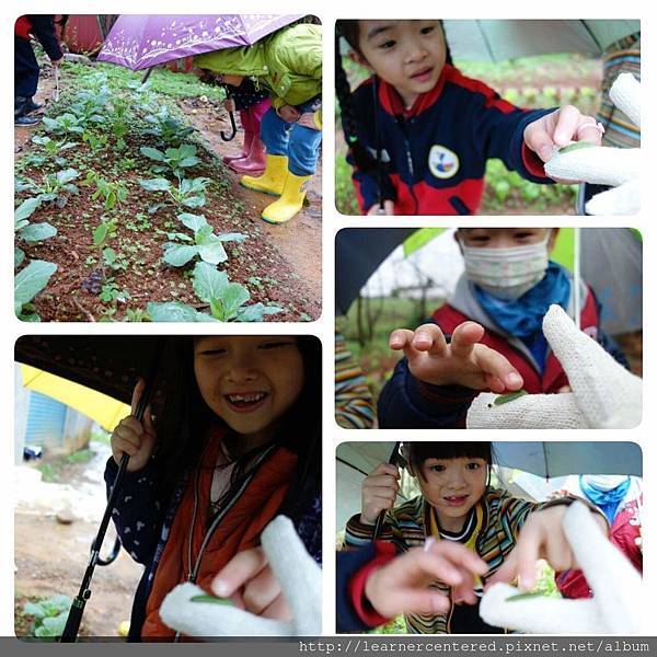 160325有機農耕(1).jpg 160325有機農耕(1).jpg