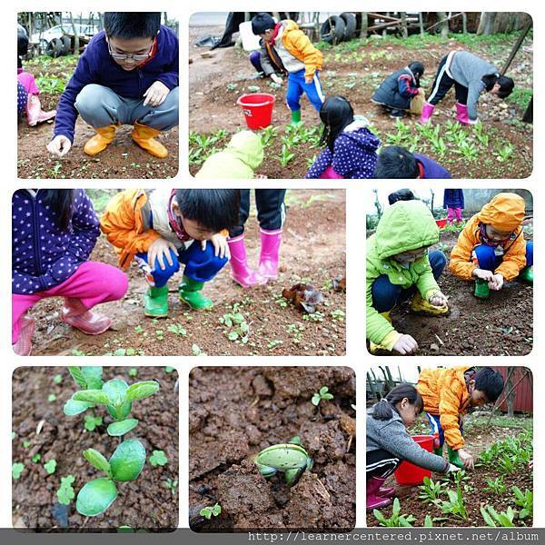 2016年3月育碁有機農耕(4).jpg 2016年3月育碁有機農耕(4).jpg