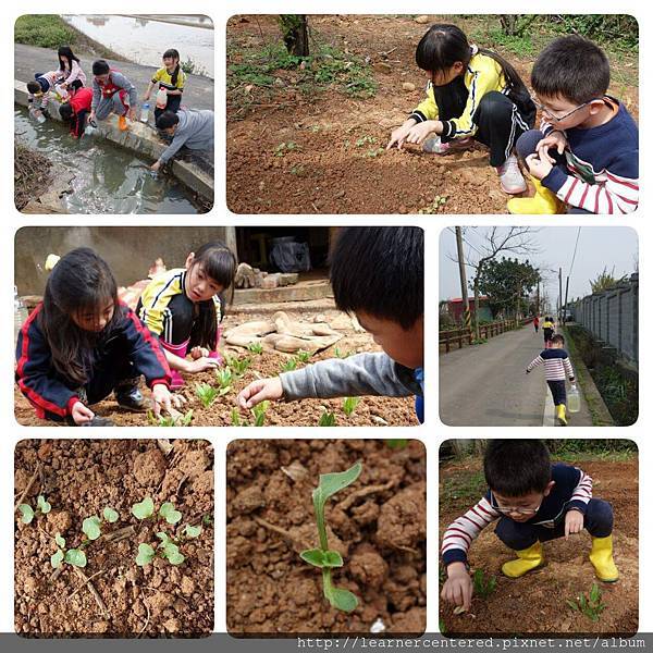 2016年3月育碁有機農耕(3).jpg 2016年3月育碁有機農耕(3).jpg