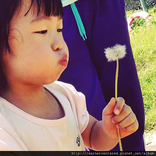 161004乘蒲公英飛翔.jpg