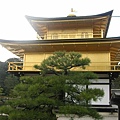 金閣寺2-DSCN9452.JPG