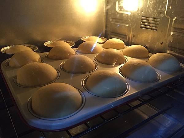 IMG_0070.jpg IMG_0070.jpg