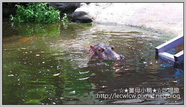 20150619_095517.jpg 20150619_095517.jpg