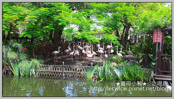 20150619_095804.jpg 20150619_095804.jpg