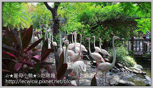 20150619_100021.jpg 20150619_100021.jpg