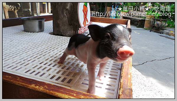 20150619_100917.jpg 20150619_100917.jpg