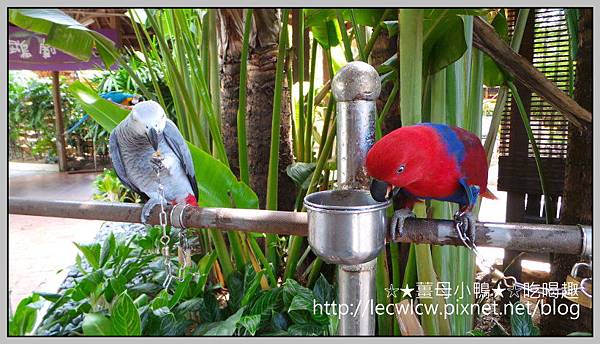 20150619_101052.jpg 20150619_101052.jpg