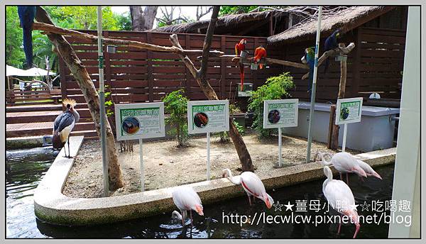 20150619_101352.jpg 20150619_101352.jpg