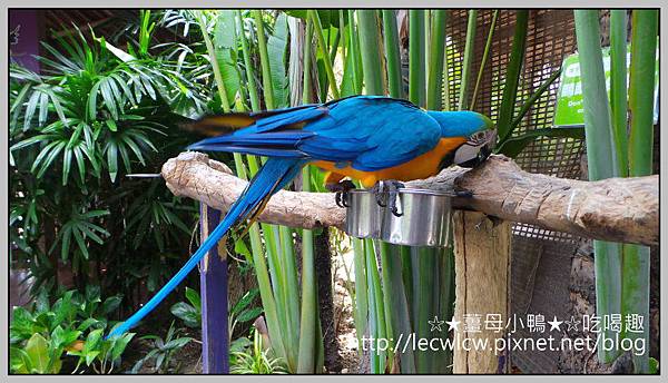 20150619_101109.jpg 20150619_101109.jpg