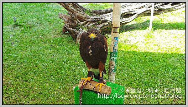 20150619_101828.jpg 20150619_101828.jpg