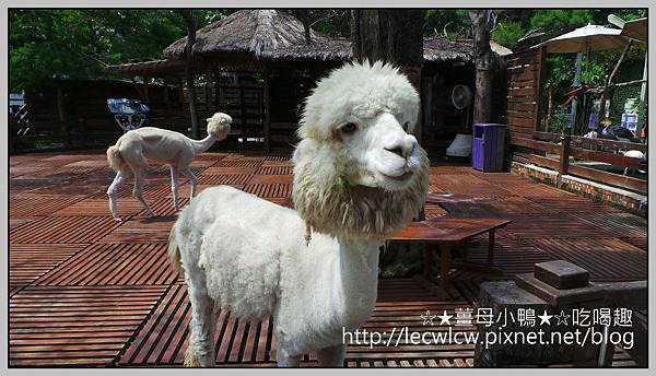 20150619_101502.jpg 20150619_101502.jpg