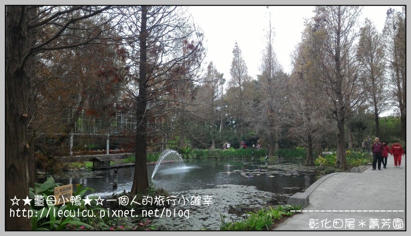 P_20160204_110632.jpg P_20160204_110632.jpg