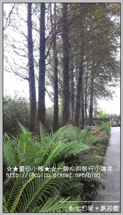 P_20160204_110550.jpg P_20160204_110550.jpg