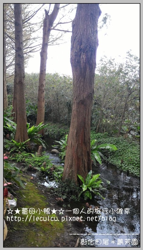 P_20160204_110613.jpg P_20160204_110613.jpg