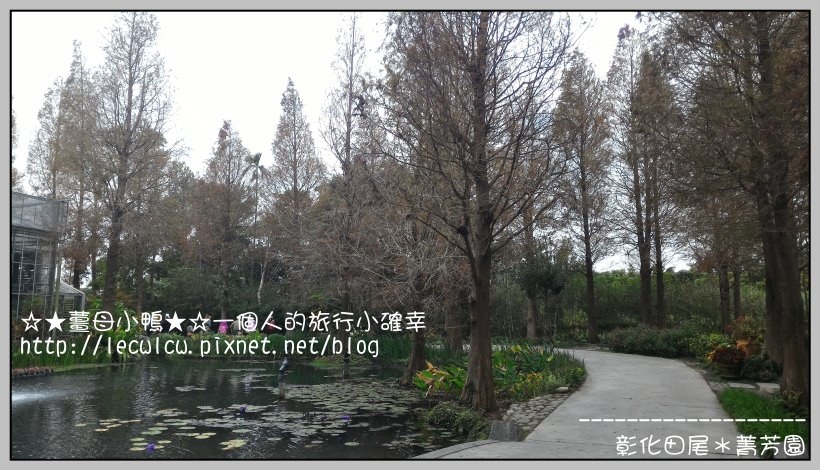 P_20160204_110732.jpg P_20160204_110732.jpg