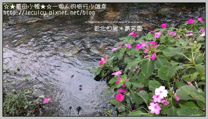 P_20160204_110653.jpg P_20160204_110653.jpg