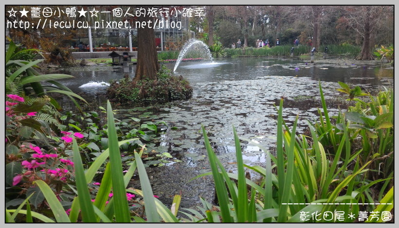 P_20160204_110715.jpg P_20160204_110715.jpg